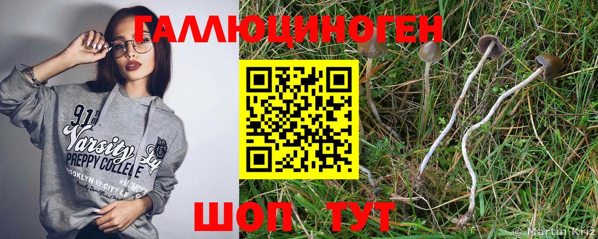 Псилоцибиновые грибы MAGIC MUSHROOMS Белгород